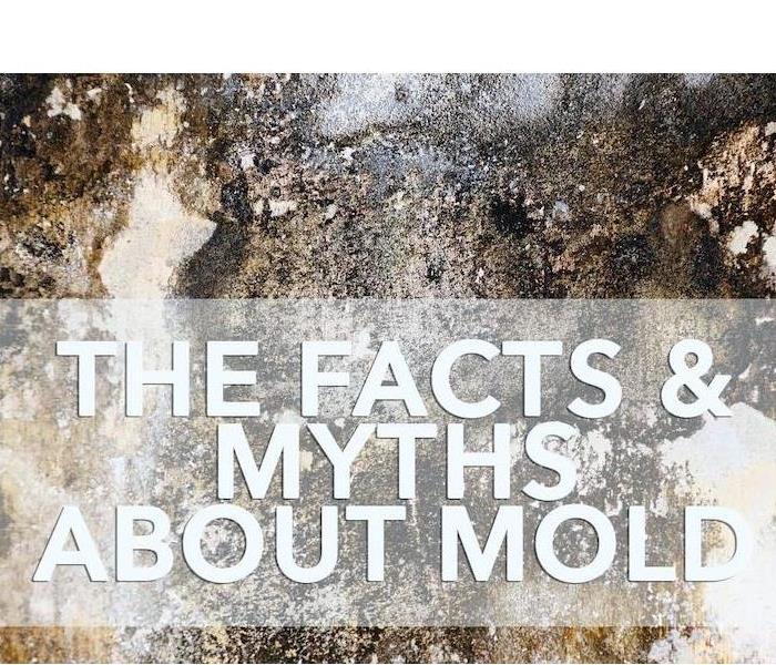 Mold Facts and Mold Myths