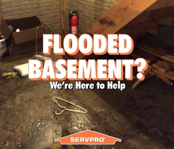 Flooded Basement?